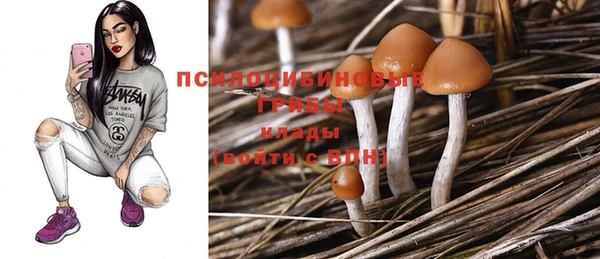 ешки Баксан
