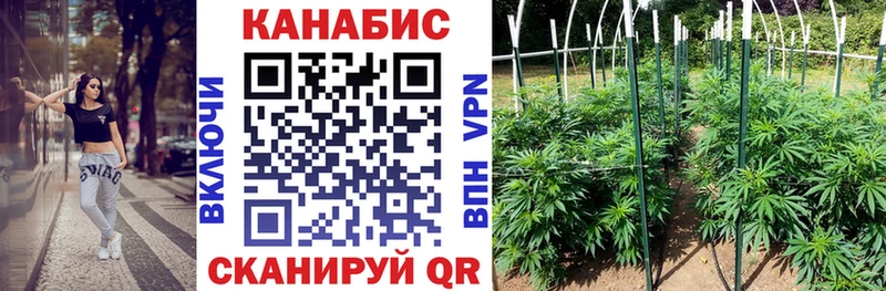 Бошки Шишки AK-47  цены   Лаишево 